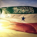 Somaliland and the New Politics of Recognition, by Raghu Kondori in "visegrad24"