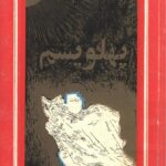 #همکاری_ملی #شاه_میهن_آزادی #پهلویسم