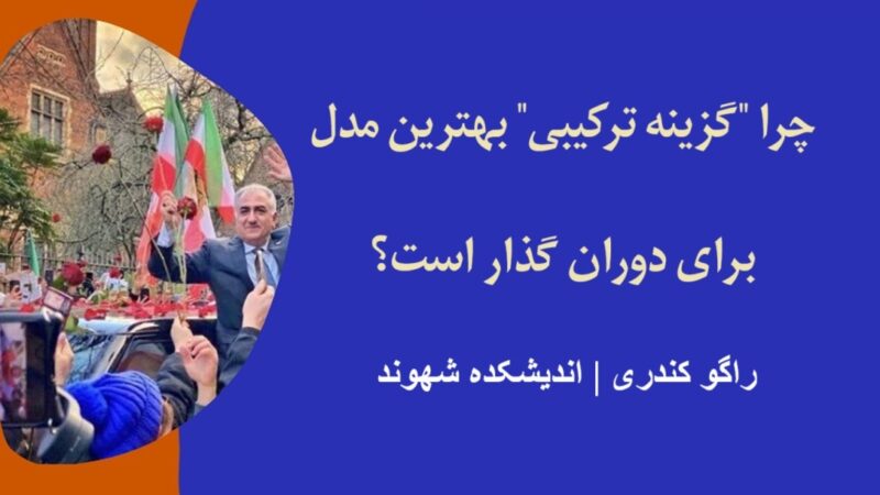 گزینه ترکیبی