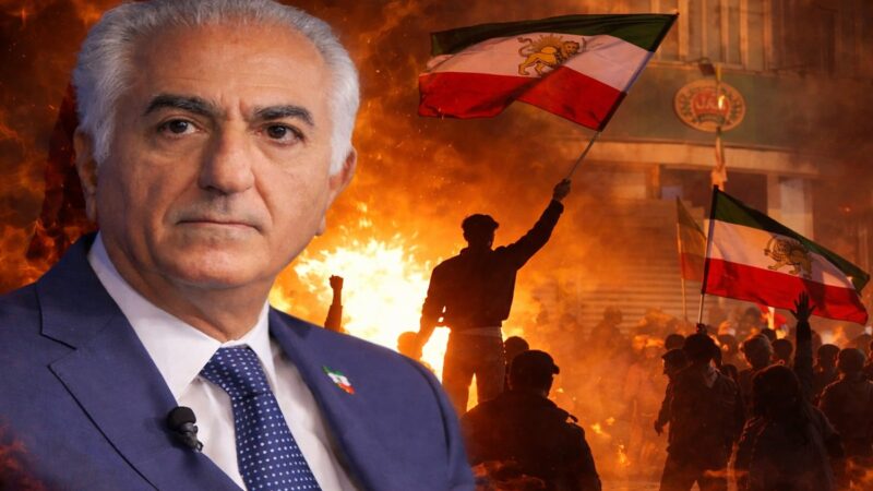 پژواک جاوید شاه